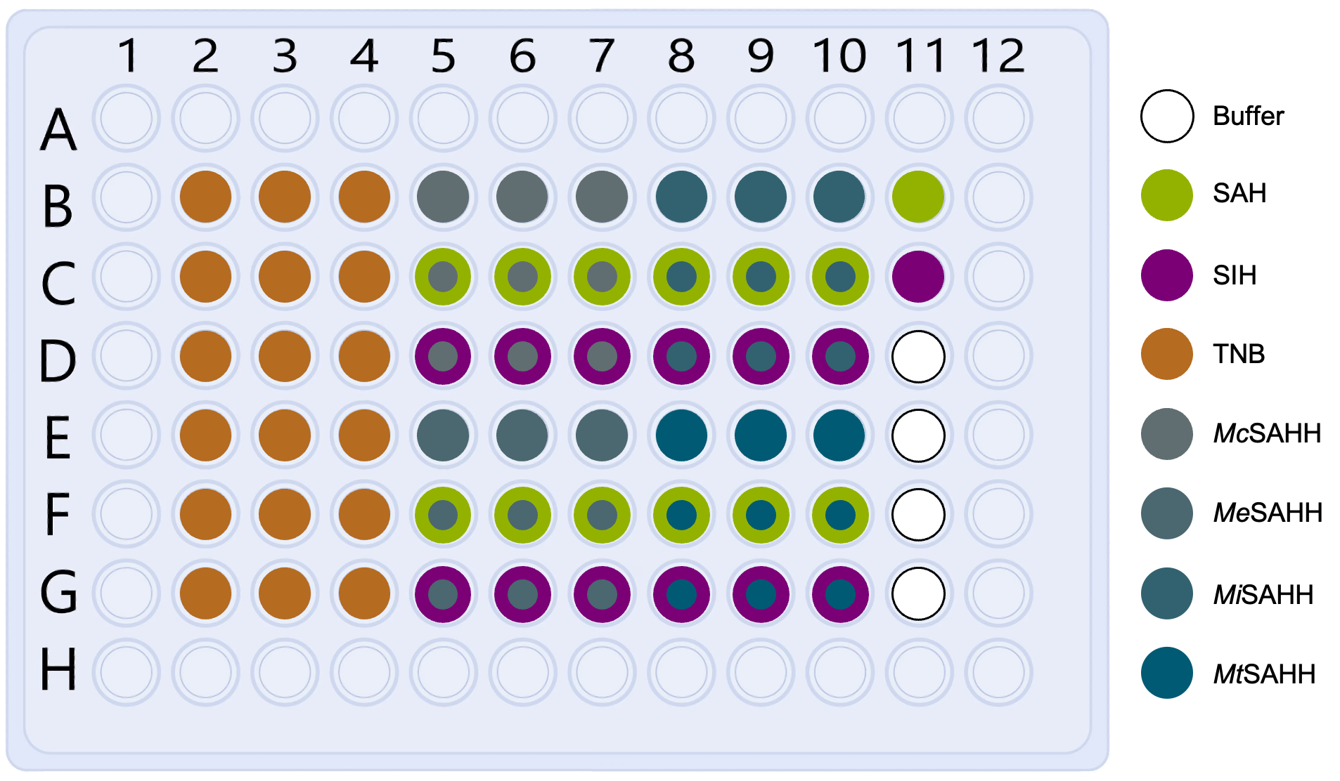 Plate Layout