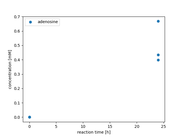 Adenosine buildup after 24 hours